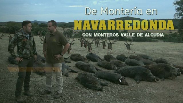 MONTERÍA-NAVARREDONDA