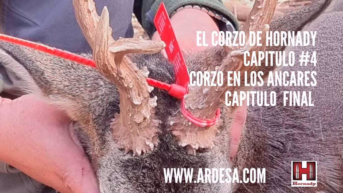 CORZO-DE-HORNADY-4
