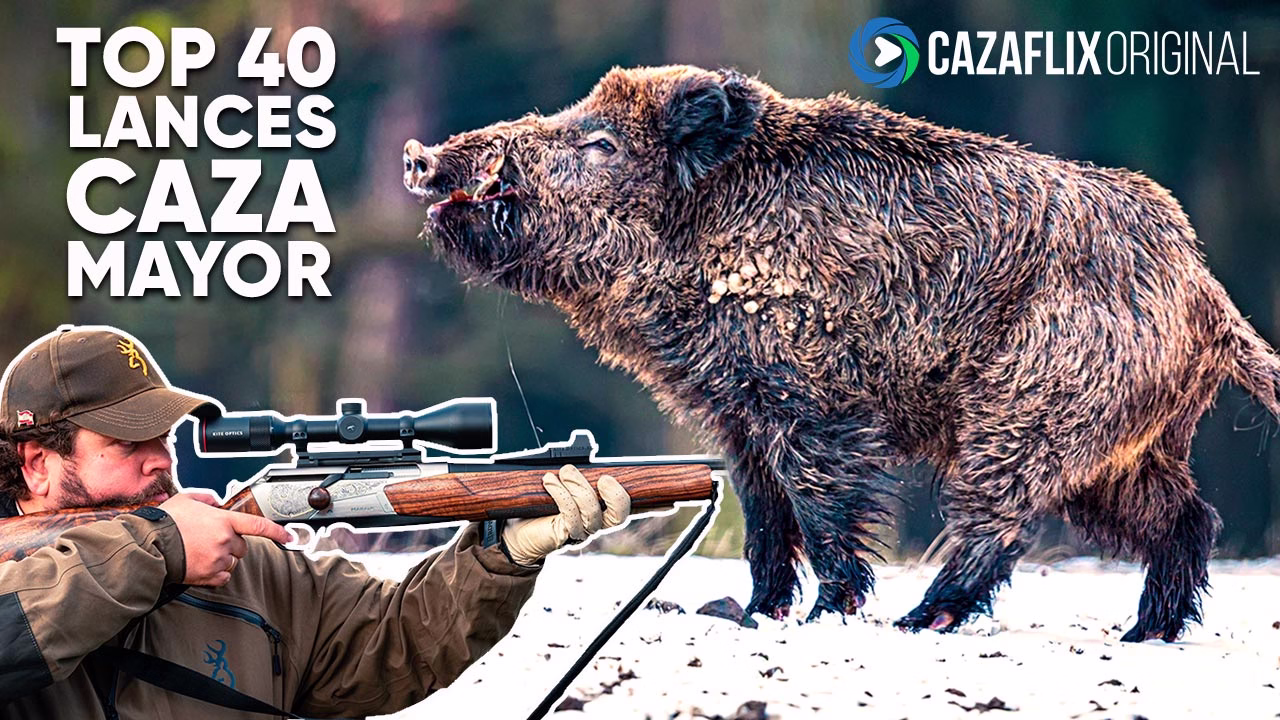 Mejores lances a caza mayor 2024
