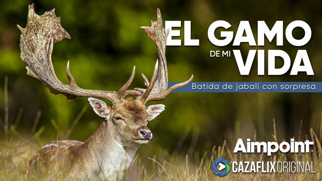 GAMOS-Y-JABALÍES-OK