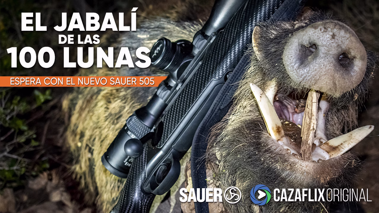 El jabalí de las 100 lunas