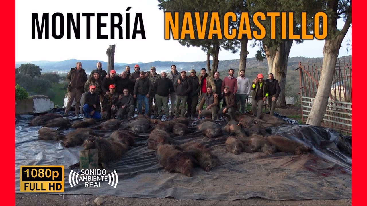 Montería en Navacastillo