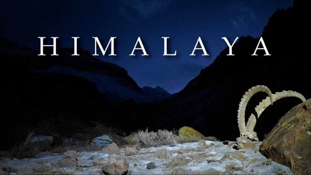 Himalaya