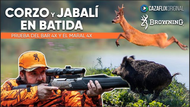 Corzos y jabalíes en batida