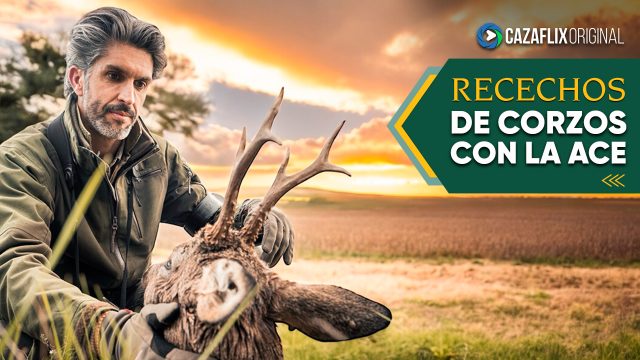 Recechos | De corzos con la ACE