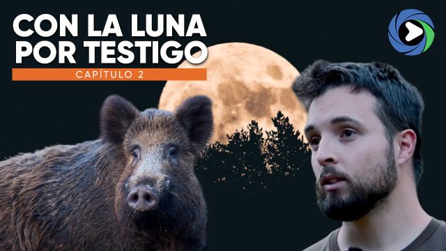 CON LA LUNA-Capitulo2-a