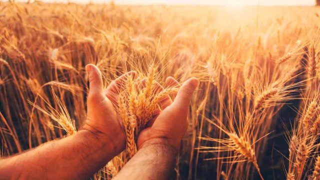 AGRICULTURA-PAC