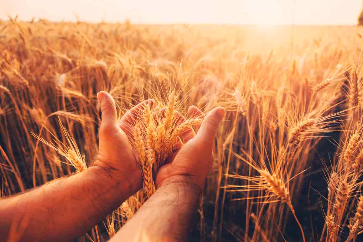 AGRICULTURA-PAC