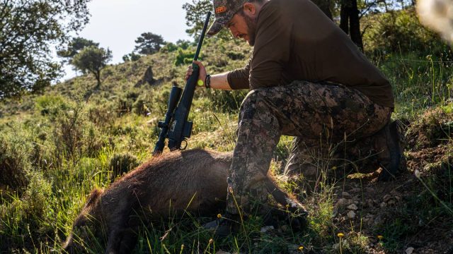 Un cazador con un jabalí abatido.