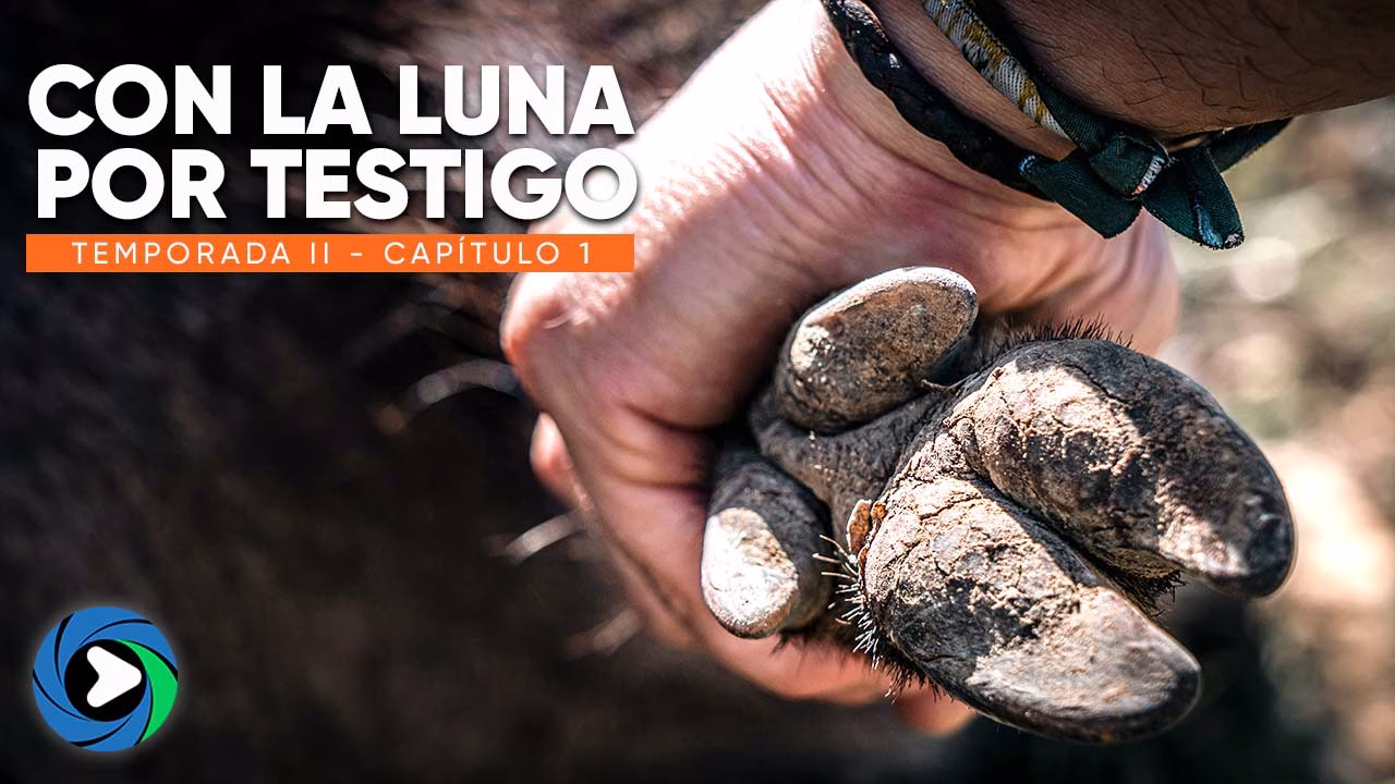 CON LA LUNA POR TESTIGO | Temporada 2 | Capítulo 1 I Esperas de JABALÍ