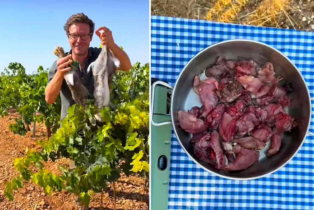 RECETA-CONEJO-DE-MONTE