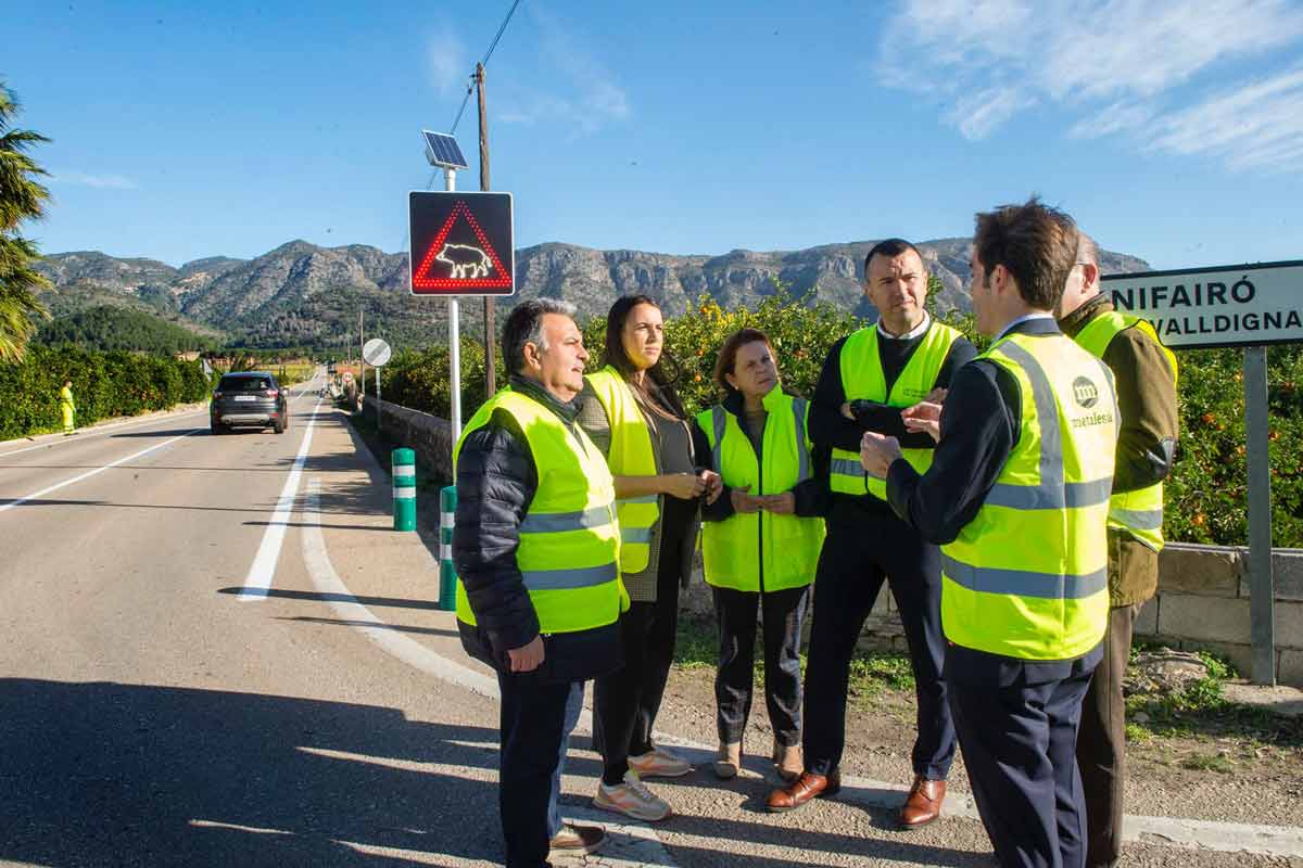 La Federación de Caza de la Comunitat Valenciana participa en un sistema piloto de señalización inteligente para prevenir accidentes con jabalíes
