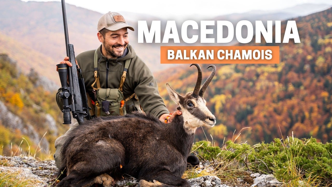 Rebeco en Macedonia