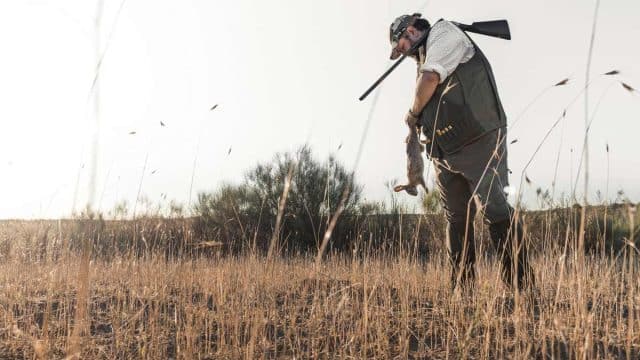 Un cazador cobrando un conejo.